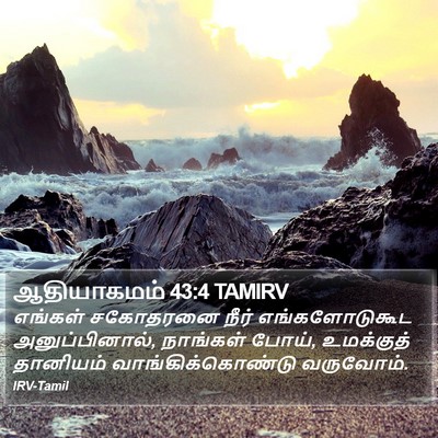 ஆதியாகமம் 43:4 TAMIRV Bible Verse Image