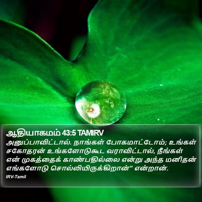 ஆதியாகமம் 43:5 TAMIRV Bible Verse Image