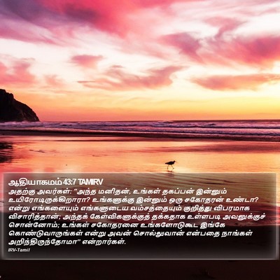 ஆதியாகமம் 43:7 TAMIRV Bible Verse Image