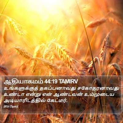 ஆதியாகமம் 44:19 TAMIRV Bible Verse Image
