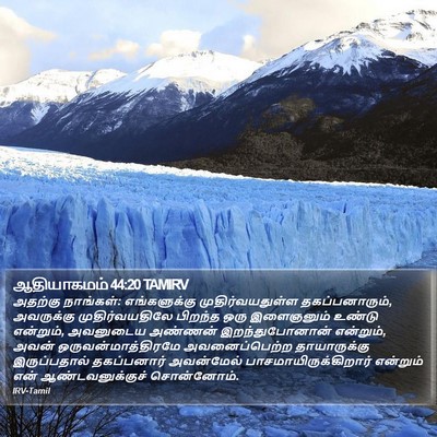 ஆதியாகமம் 44:20 TAMIRV Bible Verse Image