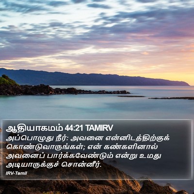 ஆதியாகமம் 44:21 TAMIRV Bible Verse Image