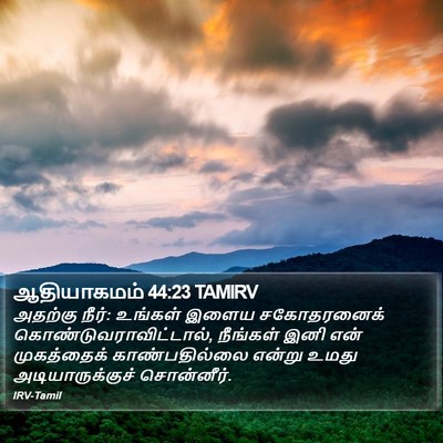 ஆதியாகமம் 44:23 TAMIRV Bible Verse Image