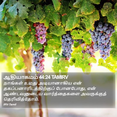ஆதியாகமம் 44:24 TAMIRV Bible Verse Image