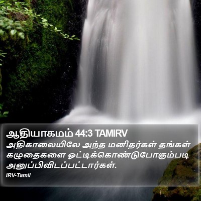ஆதியாகமம் 44:3 TAMIRV Bible Verse Image