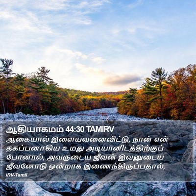 ஆதியாகமம் 44:30 TAMIRV Bible Verse Image