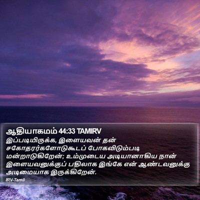 ஆதியாகமம் 44:33 TAMIRV Bible Verse Image