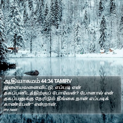 ஆதியாகமம் 44:34 TAMIRV Bible Verse Image