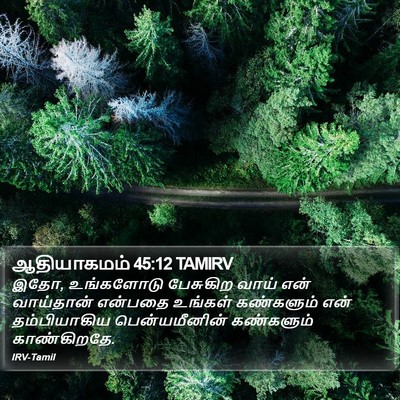 ஆதியாகமம் 45:12 TAMIRV Bible Verse Image