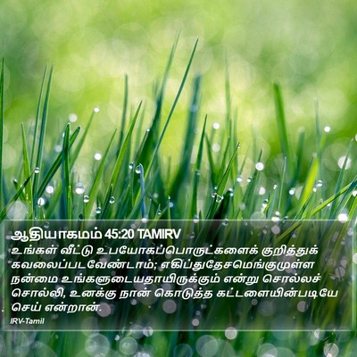 ஆதியாகமம் 45:20 TAMIRV Bible Verse Image