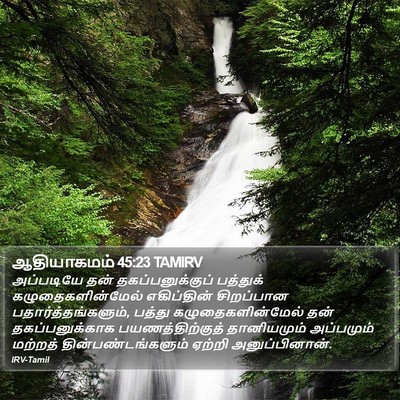 ஆதியாகமம் 45:23 TAMIRV Bible Verse Image