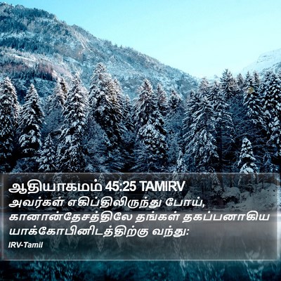 ஆதியாகமம் 45:25 TAMIRV Bible Verse Image