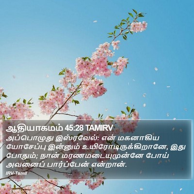 ஆதியாகமம் 45:28 TAMIRV Bible Verse Image