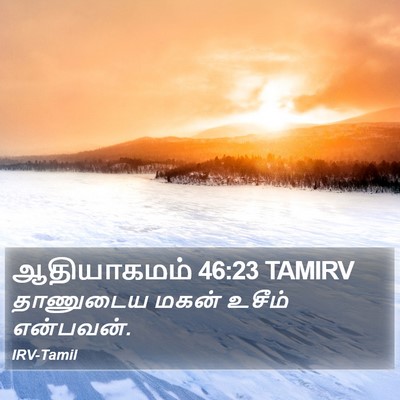 ஆதியாகமம் 46:23 TAMIRV Bible Verse Image