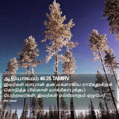 ஆதியாகமம் 46:25 TAMIRV Bible Verse Image