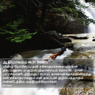 ஆதியாகமம் 46:31 TAMIRV Bible Verse Image