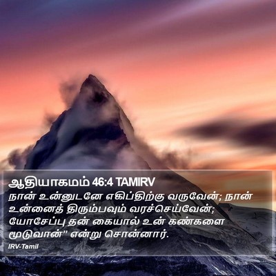 ஆதியாகமம் 46:4 TAMIRV Bible Verse Image