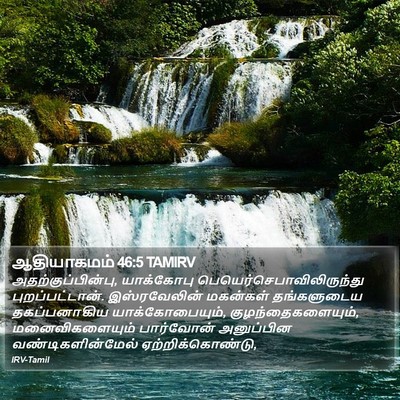 ஆதியாகமம் 46:5 TAMIRV Bible Verse Image
