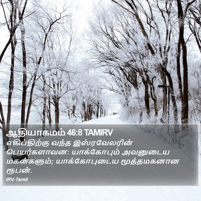 ஆதியாகமம் 46:8 TAMIRV Bible Verse Image
