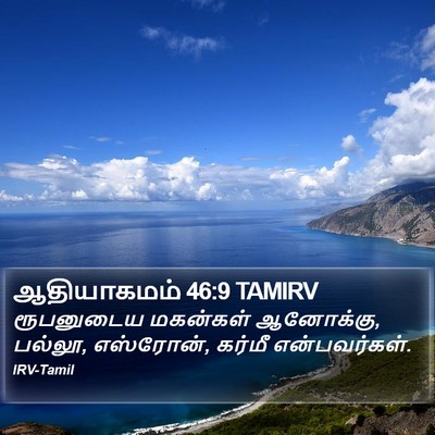 ஆதியாகமம் 46:9 TAMIRV Bible Verse Image