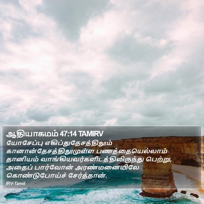 ஆதியாகமம் 47:14 TAMIRV Bible Verse Image