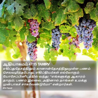 ஆதியாகமம் 47:15 TAMIRV Bible Verse Image