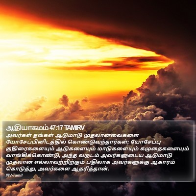 ஆதியாகமம் 47:17 TAMIRV Bible Verse Image