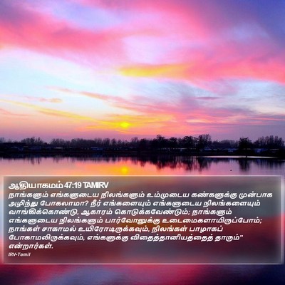 ஆதியாகமம் 47:19 TAMIRV Bible Verse Image