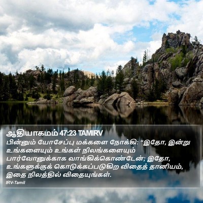 ஆதியாகமம் 47:23 TAMIRV Bible Verse Image