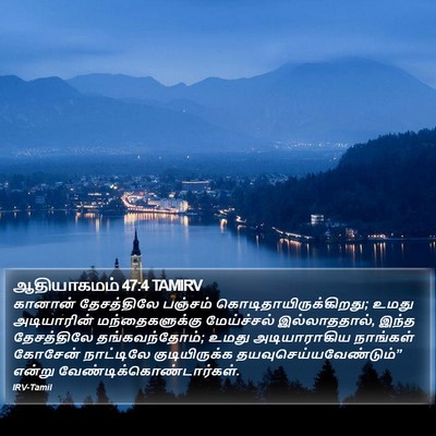 ஆதியாகமம் 47:4 TAMIRV Bible Verse Image