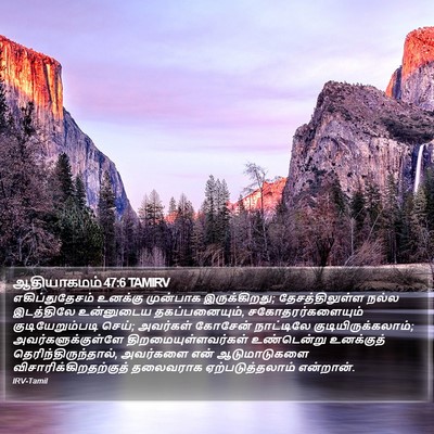 ஆதியாகமம் 47:6 TAMIRV Bible Verse Image
