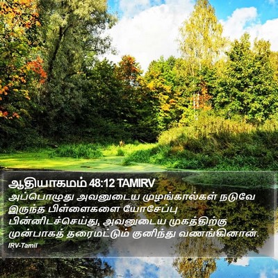 ஆதியாகமம் 48:12 TAMIRV Bible Verse Image