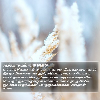 ஆதியாகமம் 48:16 TAMIRV Bible Verse Image