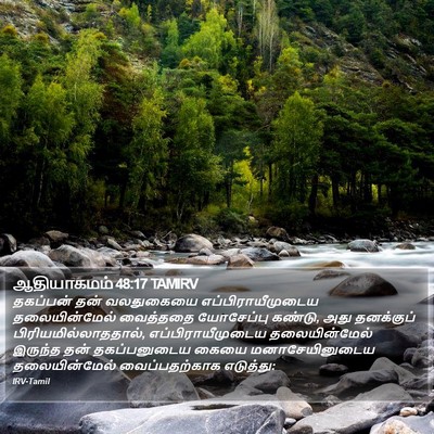 ஆதியாகமம் 48:17 TAMIRV Bible Verse Image