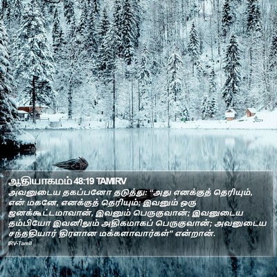 ஆதியாகமம் 48:19 TAMIRV Bible Verse Image