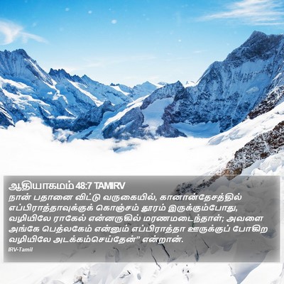 ஆதியாகமம் 48:7 TAMIRV Bible Verse Image