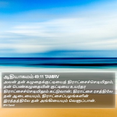 ஆதியாகமம் 49:11 TAMIRV Bible Verse Image