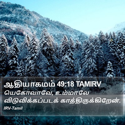 ஆதியாகமம் 49:18 TAMIRV Bible Verse Image