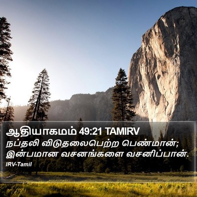 ஆதியாகமம் 49:21 TAMIRV Bible Verse Image