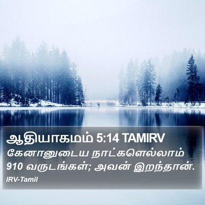 ஆதியாகமம் 5:14 TAMIRV Bible Verse Image