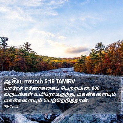 ஆதியாகமம் 5:19 TAMIRV Bible Verse Image