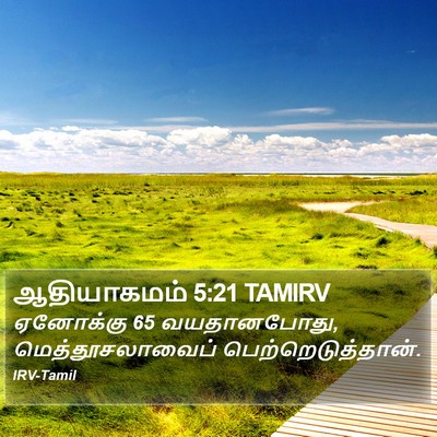 ஆதியாகமம் 5:21 TAMIRV Bible Verse Image
