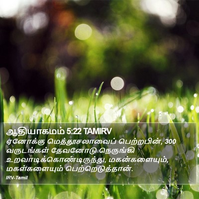 ஆதியாகமம் 5:22 TAMIRV Bible Verse Image