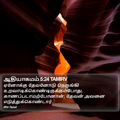 ஆதியாகமம் 5:24 TAMIRV Bible Verse Image