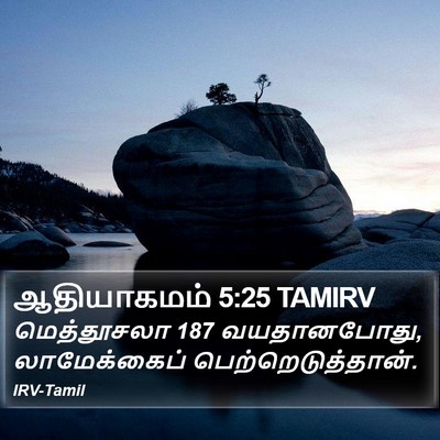 ஆதியாகமம் 5:25 TAMIRV Bible Verse Image