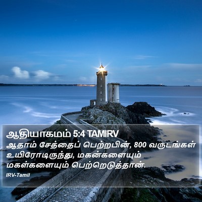 ஆதியாகமம் 5:4 TAMIRV Bible Verse Image