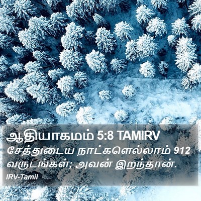ஆதியாகமம் 5:8 TAMIRV Bible Verse Image