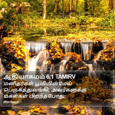 ஆதியாகமம் 6:1 TAMIRV Bible Verse Image