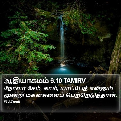 ஆதியாகமம் 6:10 TAMIRV Bible Verse Image