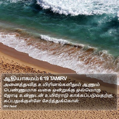 ஆதியாகமம் 6:19 TAMIRV Bible Verse Image
